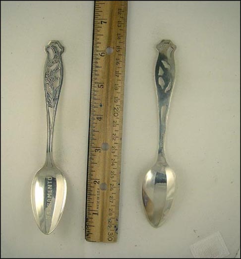 Engraved Cut out Flowers, Sacramento, California Souvenir Spoon MAIN