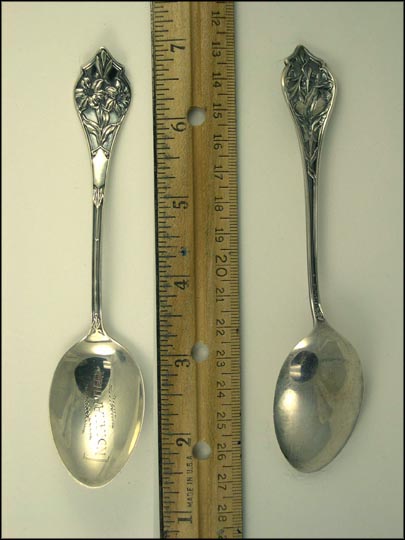 Flowers, Indianapolis, Indiana Souvenir Spoon MAIN