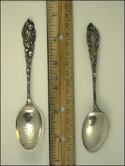 Fruit, Mackinac Island, Michigan Souvenir Spoon MAIN