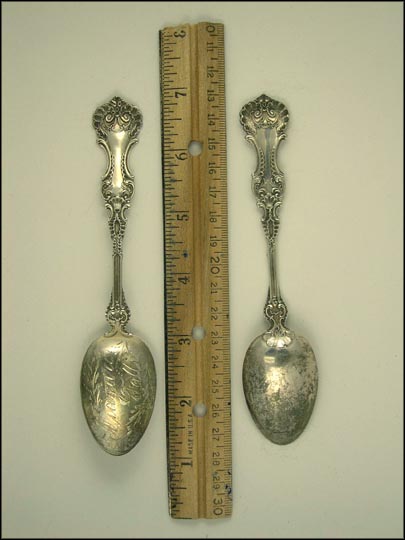 Niagara Falls Souvenir Spoon MAIN