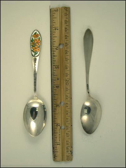 Bellingrath Gardens, Enameled Flowers, Alabama Souvenir Spoon MAIN