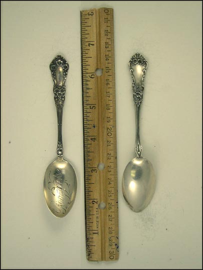 Flowers, Roanoke, Virginia Souvenir Spoon MAIN