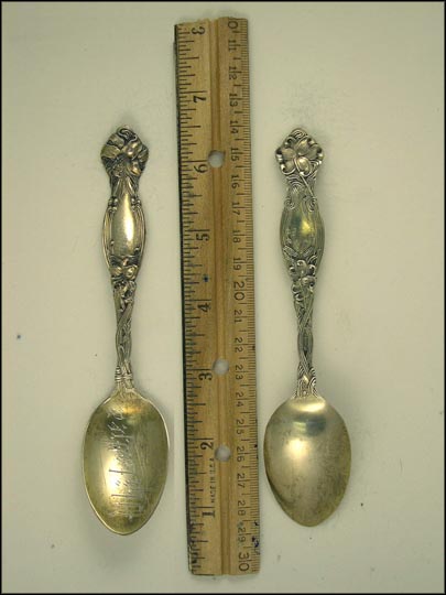 Philathea, Flowers Souvenir Spoon MAIN
