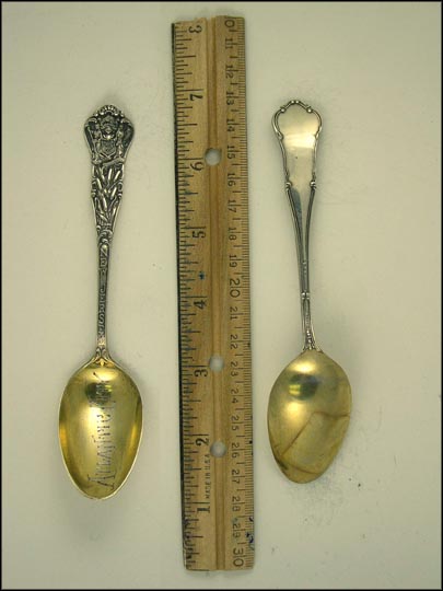 State Seal, Cat Tails, Atlantic City, New Jersey Souvenir Spoon MAIN