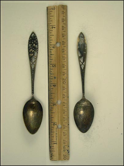 Cut Out Flowers, Pasadena, California Souvenir Spoon MAIN