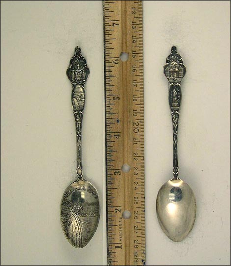 State Seal, Waterfall, Sturgeon, State Capital, Statue of Liberty, Niagara Falls, New York Souvenir Spoon MAIN