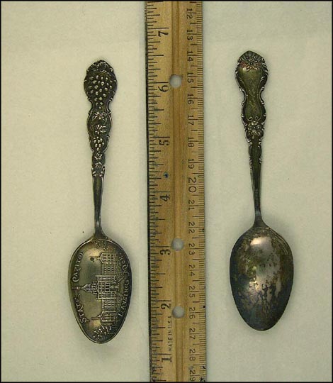State Capitol, Grapes, Lansing, Michigan Souvenir Spoon MAIN