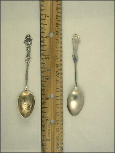 The Alamo Built in 1718, Flowers, San Antonio, Texas Souvenir Spoon MAIN
