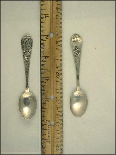 State Seal, State Capitol, South Carolina Souvenir Spoon MAIN