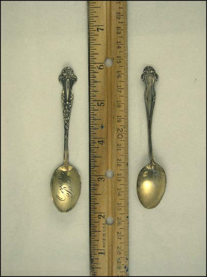 Ocean Park Souvenir Spoon MAIN