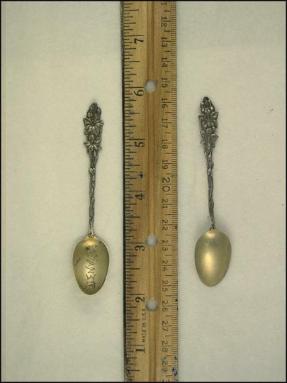 Flower Handle, Denver, Colorado Souvenir Spoon MAIN
