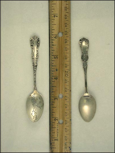 Flowers, Jacksonville, Florida Souvenir Spoon MAIN