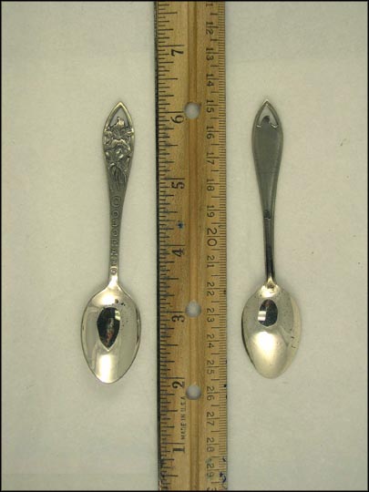 Cut Out Flowers, Colorado Souvenir Spoon MAIN