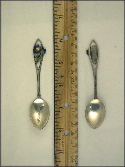 Cut Out Enameled Flower, Winnipeg, Canada Souvenir Spoon MAIN