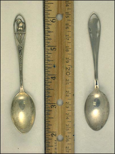 Cut Out Parrot, Parrot Jungle Souvenir Spoon MAIN