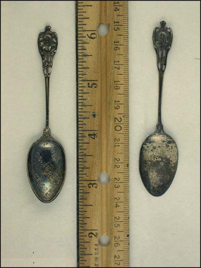 Cut Out Flower, Excelsior Springs, Missouri Souvenir Spoon MAIN