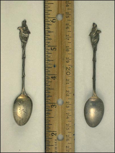 Ocean Park Souvenir Spoon MAIN