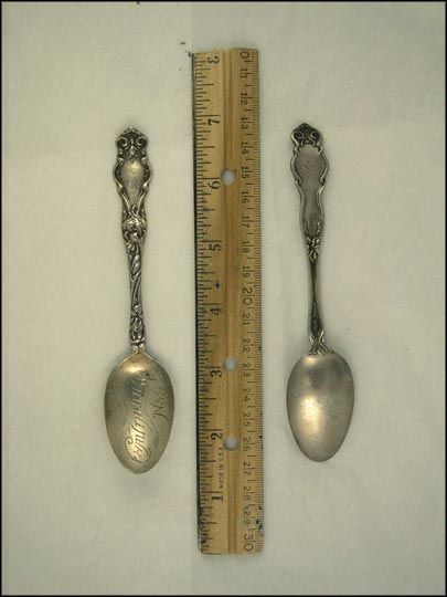 Flowers, Chautauqua, New York Souvenir Spoon MAIN