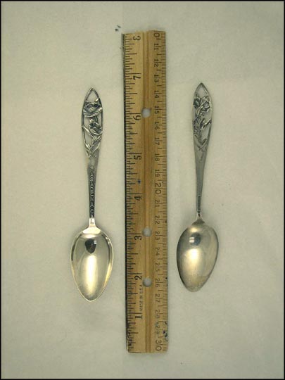 Cut Out Flowers, Pasadena, California Souvenir Spoon MAIN