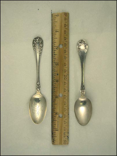 Roses, Cleveland, Ohio Souvenir Spoon MAIN