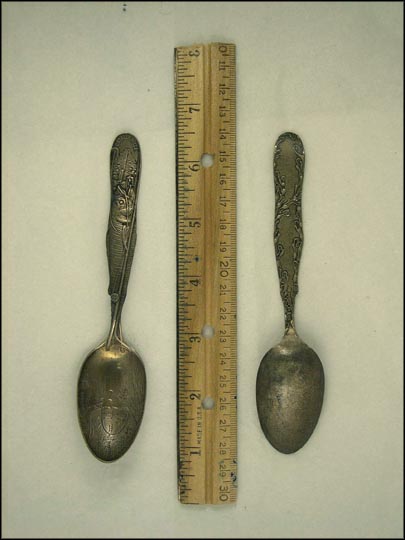 Catalina Island, Fish, California Souvenir Spoon MAIN