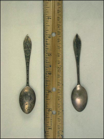 Eagle Eating a Snake Souvenir Spoon MAIN