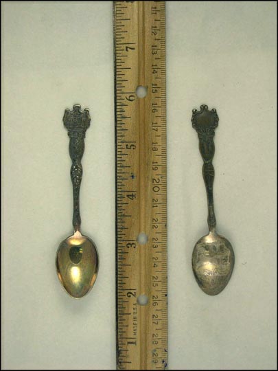 State Seal, Pineapple, Hawaii Souvenir Spoon MAIN