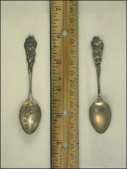 Stone Bridge, Daisies, Fayetteville, Tennessee Souvenir Spoon MAIN