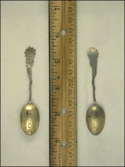 Flower Handle, Denver, Colorado Souvenir Spoon MAIN