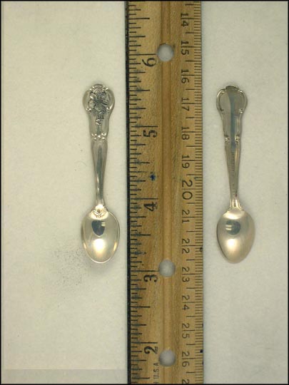 Apple Blossom, Michigan Souvenir Spoon MAIN