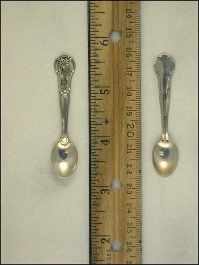 Bitterroot, Montana Souvenir Spoon MAIN