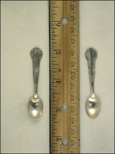 Oregon Grape, Oregon Souvenir Spoon MAIN