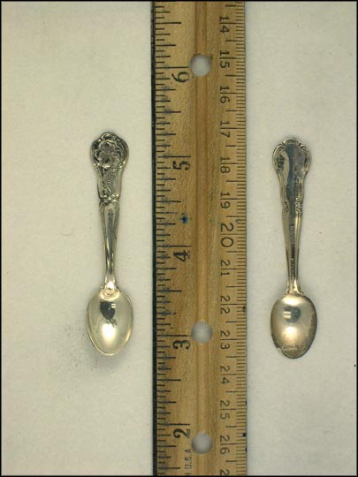 Pua Aloalo, Hawaii Souvenir Spoon MAIN
