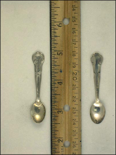 Goldenrod, Kentucky Souvenir Spoon MAIN
