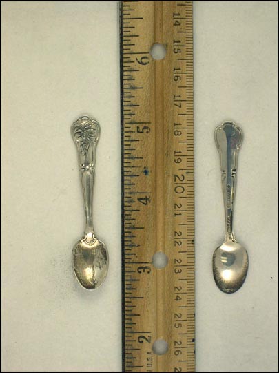 Rocky Mountain Columbine, Colorado Souvenir Spoon MAIN