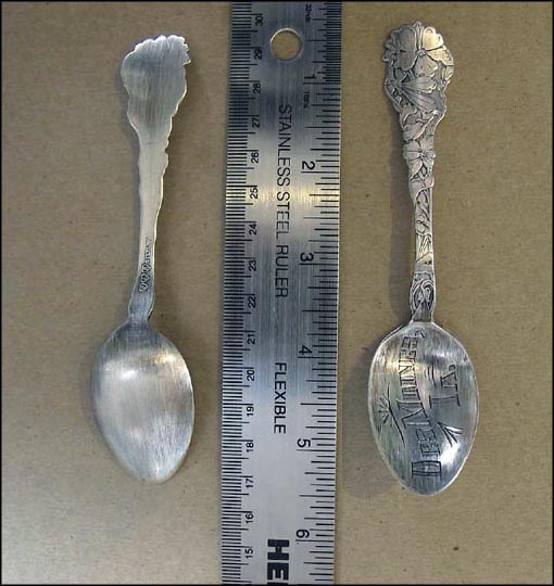 Engraved Bowl, Flower Handle, Des Moines, Iowa Souvenir Spoon MAIN