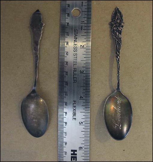 Etched Bowl, Columbine on Handle, Loveland, Colorado Souvenir Spoon MAIN