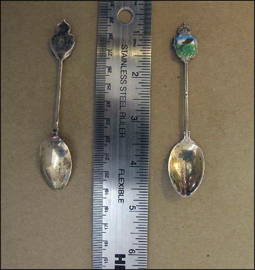Enameled Whale, Lunenburg, N.S., Canada Souvenir Spoon MAIN