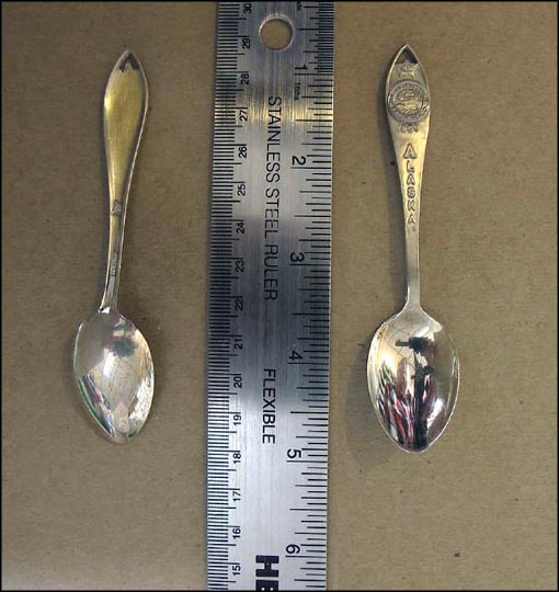 State Seal 1959, Star #49, Alaska Souvenir Spoon MAIN