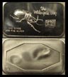 Watergate Bug' Art Bar by Colonial Mint. THUMBNAIL