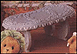Ornamental Furniture Set, Cherished Teddies Display #202967 THUMBNAIL