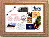 Maine State Quarter Frame THUMBNAIL