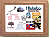 Mississippi State Quarter Frame THUMBNAIL