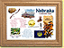Nebraska State Quarter Frame - with Gold Plated State Quarter THUMBNAIL
