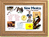 New Mexico State Quarter Frame - with Gold Plated State Quarter THUMBNAIL