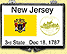 New Jersey - State Flag Snaplock Display - with Gold Plated State Quarter THUMBNAIL