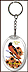 Maryland - State Bird & Flower Keychain - with Gold Plated State Quarter THUMBNAIL