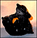 Black Bears Playing, Goebel Figurine  #36512 08 THUMBNAIL