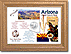 State Quarter Commemorative Coin Frames