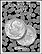 H.E. Harris Coin Folder - Roosevelt Dimes 3 2000-2013 THUMBNAIL